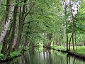Spreewald 14.04